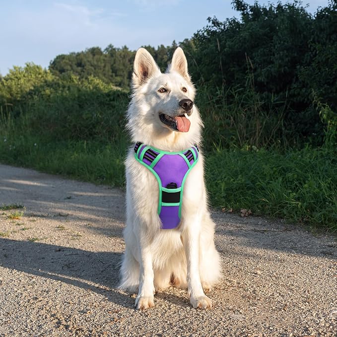 Eagloo Dog Harness for Large Dogs, No Pull Service Vest with Reflective Strips and Control Handle, Adjustable and Comfortable for Easy Walking, No Choke Harness with 2 Metal Rings, Purple & Green, XL GoExplorewithEagloo