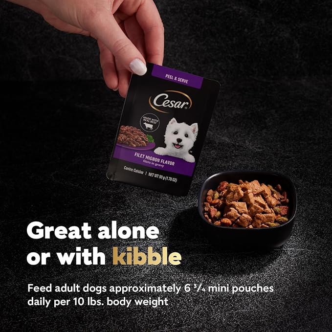 Cesar Filets in Gravy Wet Dog Food Filet Mignon Flavor and Rotisserie Chicken Flavor Variety Pack, 1.76 oz. Mini-Pouches, 20 Pack (Pack of 2) - PAWPICO