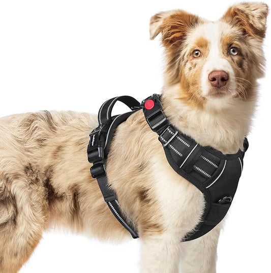 rabbitgoo Dog Harness Medium Sized, No Pull Pet Harness with 3 Buckles, Adjustable Soft Padded Pooch Vest with Instant Control Handle, Easy Walking Reflective Pet Vest for Medium Dogs, Black, M rabbitgoo