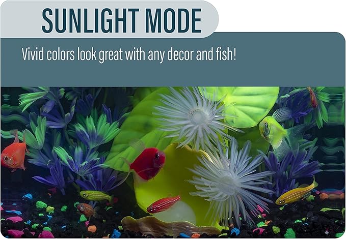 GloFish Aquarium Kit Fish Tank with LED Lighting and Filtration Included GloFish
