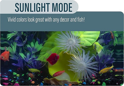 GloFish Aquarium Kit Fish Tank with LED Lighting and Filtration Included GloFish