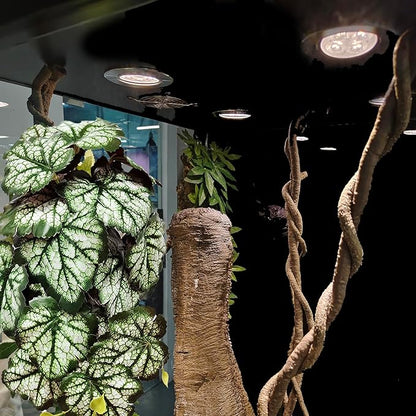 Woyrise Reptile Plants, Terrarium Hanging Plants Vines for Reptile Tank, Amphibian Habitat Leaves Decor with Suction Cups for Bearded Dragon Lizard Snake Gecko Frog Hermit Crab - 2Pack Green Heuchera Woyrise