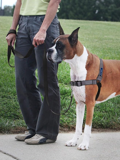 PetSafe Easy Walk Deluxe Dog Harness, No Pull Dog Harness – Perfect for Leash & Harness Training – Stops Pets from Pulling and Choking on Walks – Large, Steel PetSafe