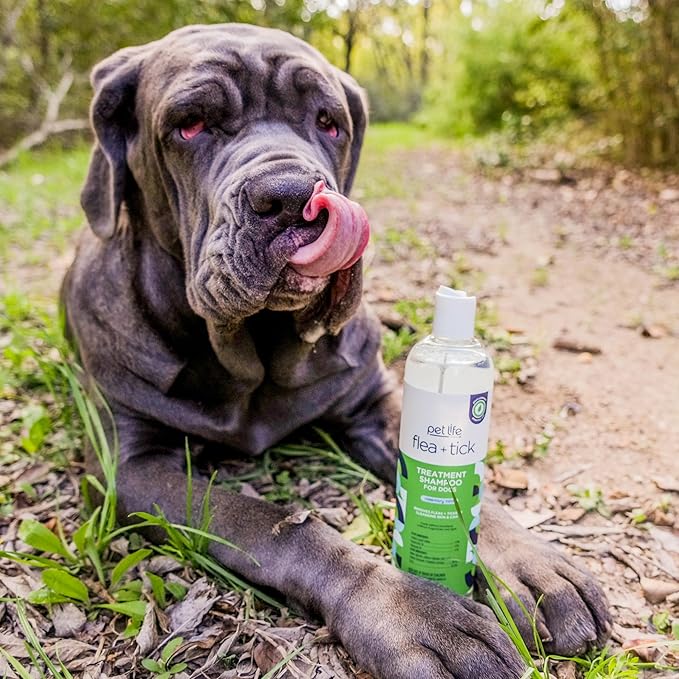 Pet Life Unlimited Natural Flea & Tick Gel Treatment Shampoo for Dogs | Made in USA | 16 Ounce PetLifeUnlimited