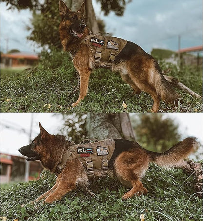 OneTigris No Pull Tactical Dog Harness for Medium Dog, Aire Mesh Dog Vest Harness, Breathable Military Dog Molle Vests with Handles, Service Dog Vest for Walking Hiking Training (L, Brown) - PAWPICO