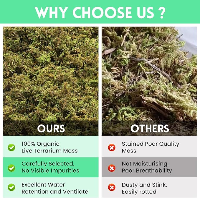 Riare 14 OZ Premium Sphagnum Moss for Reptiles- 20QT Natural Live Moss Reptile Moss Bedding for Terrarium, Hatching, Forest Sphagnum Moss Reptile Substrate for Snakes, Gecko, Turtles, Frogs, Leopard Riare