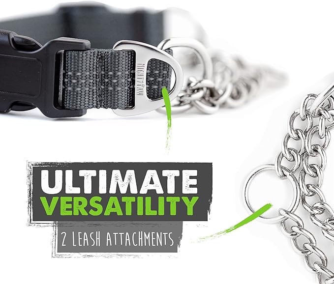 Mighty Paw Martingale Dog Collar 2.0 | Trainer Approved Limited Slip Collar with Stainless Steel Chain & Heavy Duty Buckle - Modified Cinch Collar for Gentle & Effective Pet Training - Medium, Grey MightyPaw