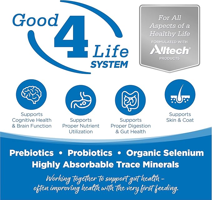 NutriSource Adult Dog Food, Made with Chicken and Rice, Large Breed, with Wholesome Grains, 30LB, Dry Dog Food - PAWPICO