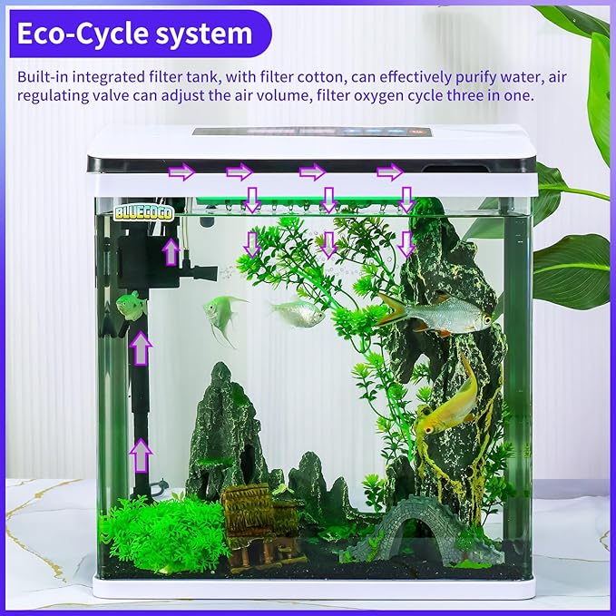 6 Gallon Glass Aquarium Fish Tank Starter Kit with Temperature and Time Display for Betta Fish Featuring Crystal Clear 360° Viewing, Eco-Cycle Filtration, Air Pump Bluecoco