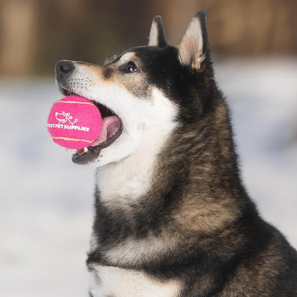 Best Pet Supplies Squeaky Tennis Toys for Dogs, 8-Pack, Heavy-Duty Interactive Pet Toys for Throwing and Fetching, Supports Exercise and Natural Behavior Training, Durable - Medium - PAWPICO