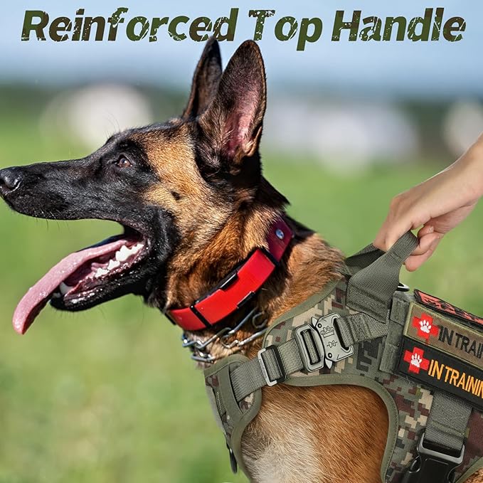 rabbitgoo Tactical Dog Harness for Small, Heavy Duty Pet Harness with Handle, No-Pull Service Vest Small Breed, Adjustable Military Dog Vest for Training Hunting Walking, Green Camo, S rabbitgoo