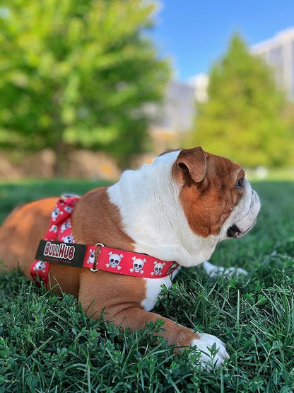 BULLHUG Harness – Made for Larger Chested Dogs Like English Bulldogs, French Bulldogs, Pugs & More. Stops Dogs from Pulling & Choking on Walks (Bright RED, Medium) BULLHUG