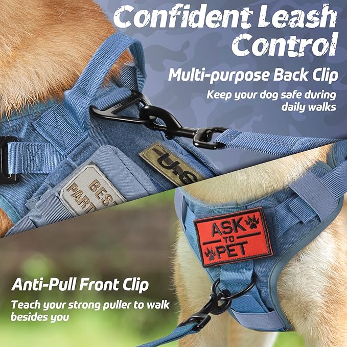 rabbitgoo Tactical Dog Harness for Small, Heavy Duty Pet Harness with Handle, No-Pull Service Vest Small Breed, Adjustable Military Dog Vest for Training Hunting Walking, Blue, S rabbitgoo