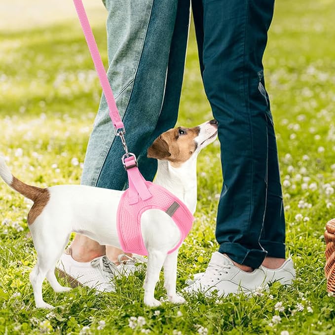 PUPTECK Adjustable Dog Harness Collar and Leash Set Step in No Pull Pet Harness for Small Medium Dogs Puppy and Cats Outdoor Walking Running, Soft Mesh Padded Reflective Vest Harnesses PUPTECK