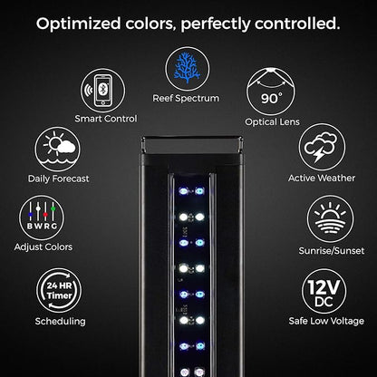 CURRENT USA 24-36" Inch Orbit Marine IC Loop LED Saltwater Reef Marine Aquarium Light with Bluetooth App Control | Wireless Lighting & eFlux Wave Pump Control for Fish Tank (4205) Current+USA