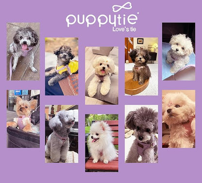 Puppytie No Pull Dog Harness with Multifunction Dog Leash,Soft Adjustable No Choke Escape Proof Pet Harness Vest for Medium Dogs or Large Dogs,Light Purple,M - PAWPICO