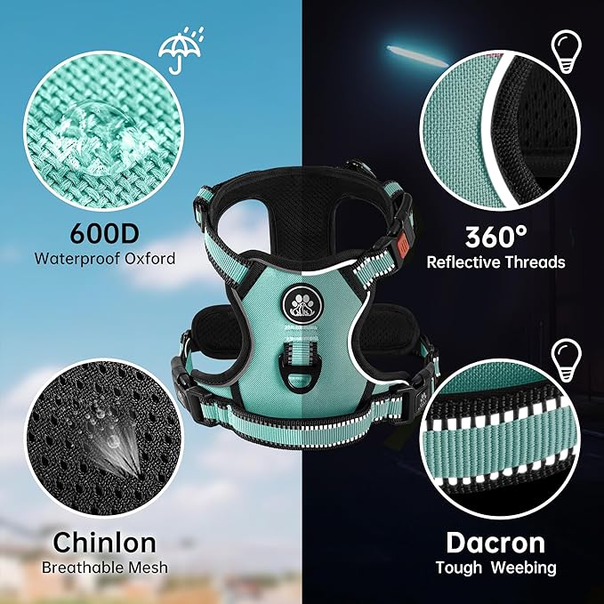 NESTROAD No Pull Dog Harness,Adjustable Oxford Dog Vest Harness with Leash,Reflective No-Choke Pet Harness with Easy Control Soft Handle for Large Dogs(X-Large,Turquoise) NESTROAD