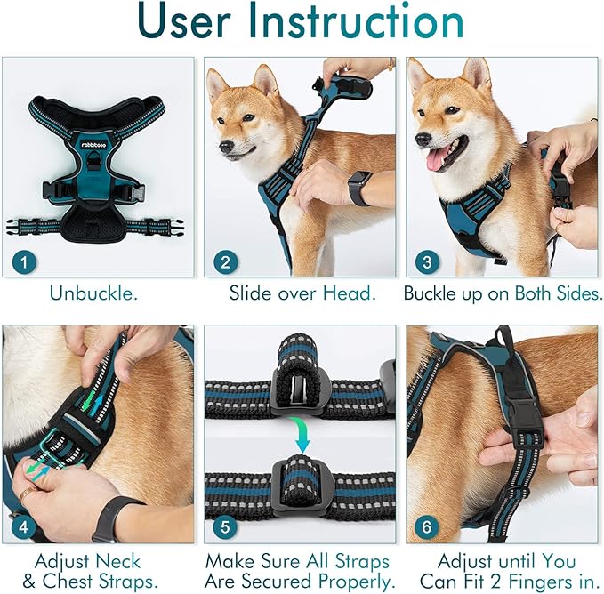 rabbitgoo Dog Harness No Pull with 2 Leash Clips, Adjustable Soft Padded, Reflective Oxford No Choke Pet Vest with Easy Control Handle for Large Dogs, Blue Coral, L rabbitgoo