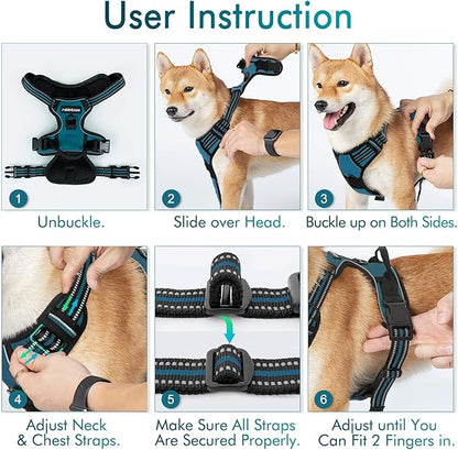 rabbitgoo Dog Harness No Pull with 2 Leash Clips, Adjustable Soft Padded, Reflective Oxford No Choke Pet Vest with Easy Control Handle for Large Dogs, Blue Coral, L rabbitgoo