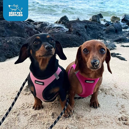 Voyager Step-in Air Dog Harness - All Weather Mesh, Reflective, No Pull Harness for Small, Medium Dogs, Cats - Secure with Hook & Loop Fastener, Buckle, Double D-Rings - Fuchsia, M BestPetSuppliesLLC