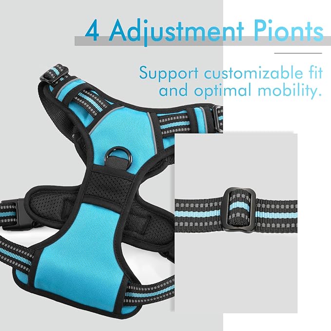 rabbitgoo Dog Harness, No-Pull Pet Harness with 2 Leash Clips, Adjustable Soft Padded Dog Vest, Reflective No-Choke Pet Oxford Vest with Easy Control Handle for Small Dogs, Blue, S - PAWPICO