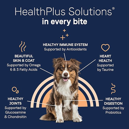 Canidae Pure Real Salmon & Sweet Potato Recipe Adult Dry Dog 12 LB - PAWPICO