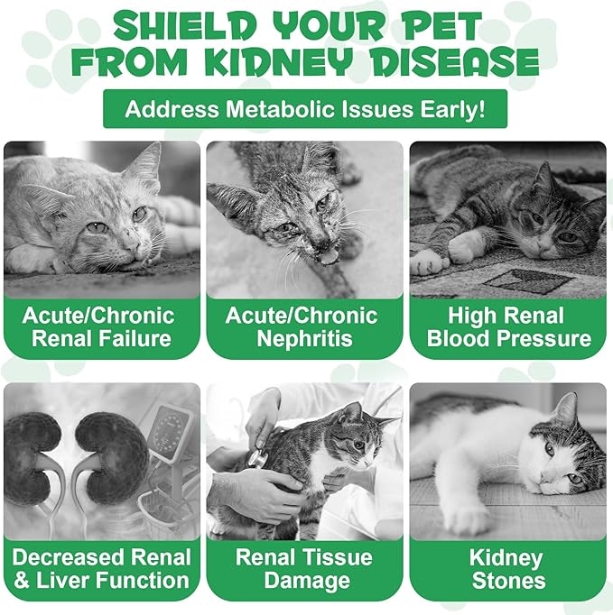 ALIVO Liver Support for Cats, Liver and Kidney Support for Cats with Natural Herbal Extract Helps Balance Cats Liver & Kidneys Health, Natural Pet Herbal Supplement for Cats - 60 ml PAWPICO