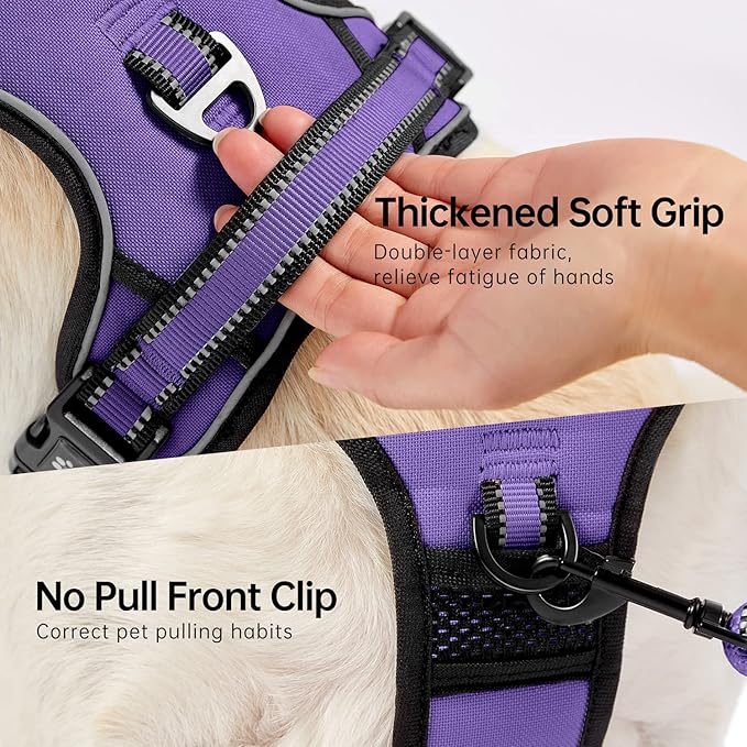 NESTROAD No Pull Dog Harness,Adjustable Oxford Dog Vest Harness with Leash,Reflective No-Choke Pet Harness with Easy Control Soft Handle for Small Dogs(Small,Purple) NESTROAD