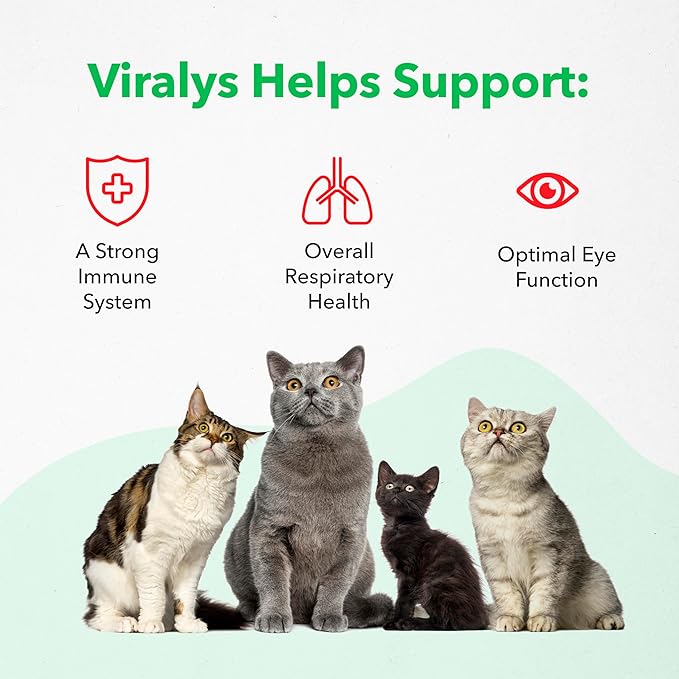 Vetoquinol Viralys Gel L-Lysine Supplement for Cats, 5oz - 2 Pack - Cats & Kittens of All Ages - Immune Health - Sneezing, Runny Nose, Squinting, Watery Eyes - Palatable Maple Flavor Lysine Gel Vetoquinol