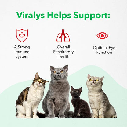 Vetoquinol Viralys Gel L-Lysine Supplement for Cats, 5oz - Cats & Kittens of All Ages - Immune Health - Sneezing, Runny Nose, Squinting, Watery Eyes - Palatable Maple Flavor Lysine Gel Vetoquinol