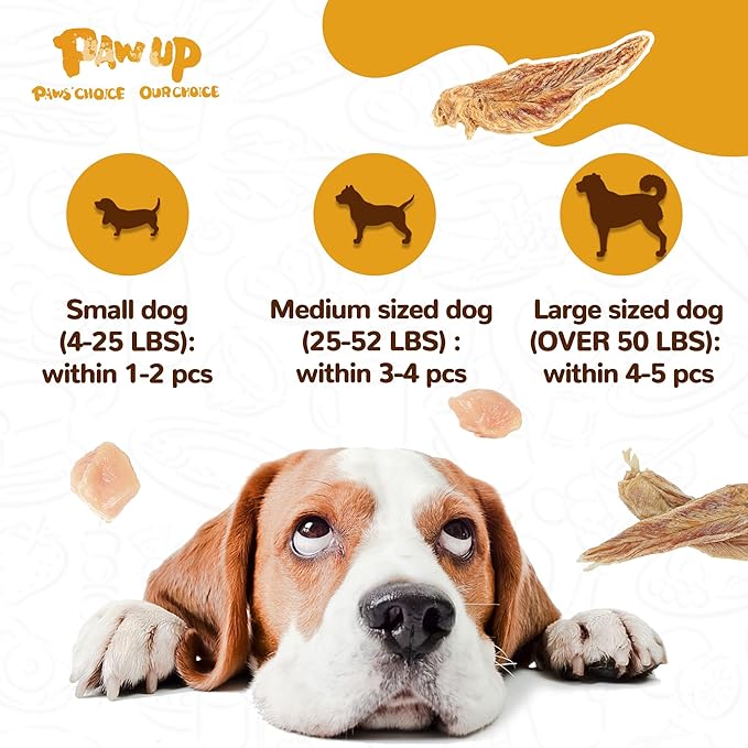 Chicken Jerky Dog Treats, Lower Moisture Content, Healthy Premium Chewy Dog Jerky Treats, 10.6 oz - PAWPICO