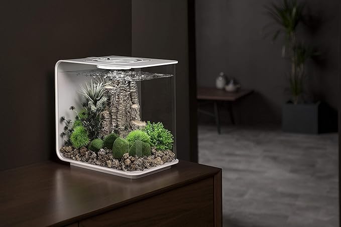 biOrb Flow 15 Acrylic 4-Gallon Aquarium with Multi-Color Remote-Controlled LED Lights Modern Compact Tank for Tabletop or Desktop Display, Black biOrb