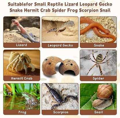 PINVNBY Natural Coconut Reptile Hideouts Lizard, Coco Hut Hermit Crab Hut Aquarium Fish Hide Cave for Small Reptile Crested Gecko Leopard Gecko Spider Snail Climber Toys (2 PCS Natural Surface) PINVNBY