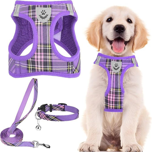PUPTECK Adjustable Dog Harness Collar and Leash Set Step in No Pull Pet Harness for Small Medium Dogs Puppy and Cats Outdoor Walking Running, Soft Mesh Padded Reflective Vest Harnesses, Purple S PUPTECK