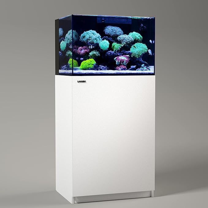 Landen 60P 26.23 Gallon Ultra Clear All Glass Rimless Low Iron Aquarium Tank with Rear Filtration Chamber for Salt and Fresh (Return Pump Included) 23.6Wx17.7Dx15.8H in(60x45x40cm) 8mm Thickness Landen