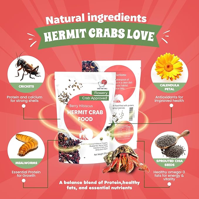 Snout and Shell Berry Hibiscus Hermit Crab Food - Colorful Blend Diet of Hibiscus Flowers, Blueberries, Hemp Seed, Coconut Chips & White Birch Bark - Aquatic Pet Animal Snack Treat | 25g, Multi SNOUTANDSHELL