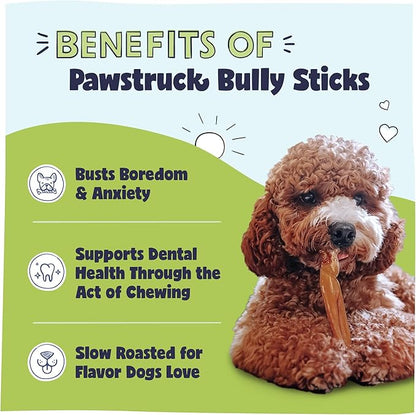 Pawstruck Natural 3-5" Bully Sticks for Small Dogs & Puppies – Single Ingredient, Low Odor & Rawhide-Free Chew Treat Bones - 100% Real Beef No Artificial Preservatives - 8 oz Bag - Packaging May Vary - PAWPICO