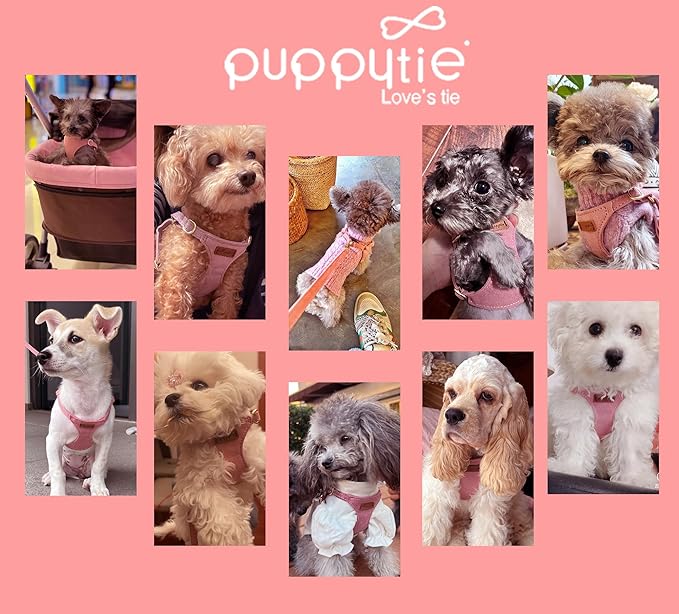 Puppytie No Pull XXS Puppy Harness with Multifunction Dog Leash,Soft Adjustable No Choke Escape Proof Pet Harness Vest,Pink,XXS - PAWPICO