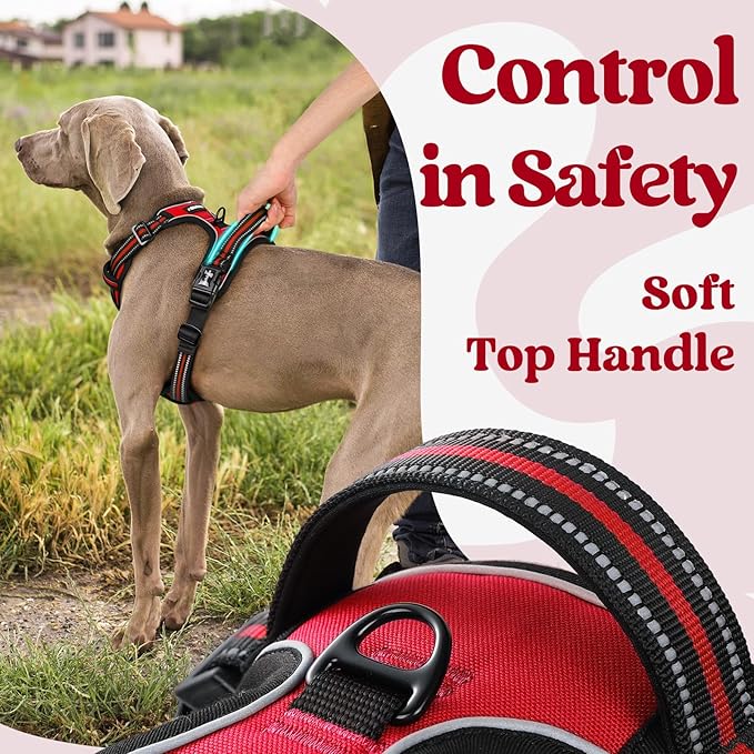 rabbitgoo Dog Harness Medium Sized, No Pull Pet Harness with 3 Buckles, Adjustable Soft Padded Pooch Vest with Instant Control Handle, Easy Walking Reflective Pet Vest for Medium Dogs, Red, M rabbitgoo