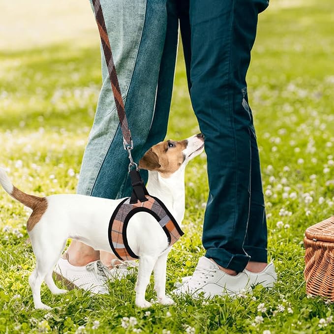 PUPTECK Adjustable Dog Harness Collar and Leash Set Step in No Pull Pet Harness for Small Medium Dogs Puppy and Cats Outdoor Walking Running, Soft Mesh Padded Reflective Vest Harnesses, Orange XXS PUPTECK