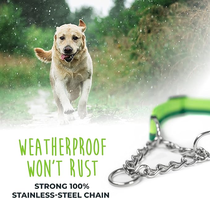 Mighty Paw Martingale Dog Collar 2.0 | Trainer Approved Limited Slip Collar with Stainless Steel Chain & Heavy Duty Buckle - Modified Cinch for Gentle & Effective Pet Training - Small, Green MightyPaw