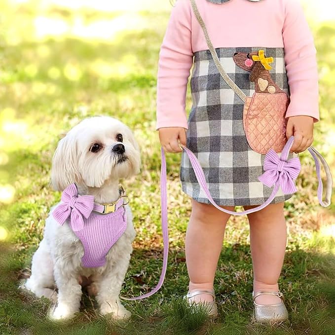 Didog Cute Small Dog Harness Collar & Leash Set, Adjustable Dog Collars and Leashes with Bowtie, Breathable Soft Mesh Padded Dog Vest for Puppies Small Dogs Walking, Purple, S Didog