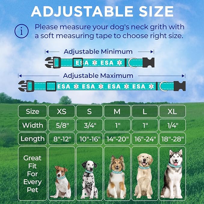 TECEUM Reflective Pet Collar – Teal - ESA – S – Basic Nylon Dog Collar – Quick Release Buckle – Fits Small, Medium and Large Dogs, Puppies, Cats – ESA & Service Dog Options TECEUM