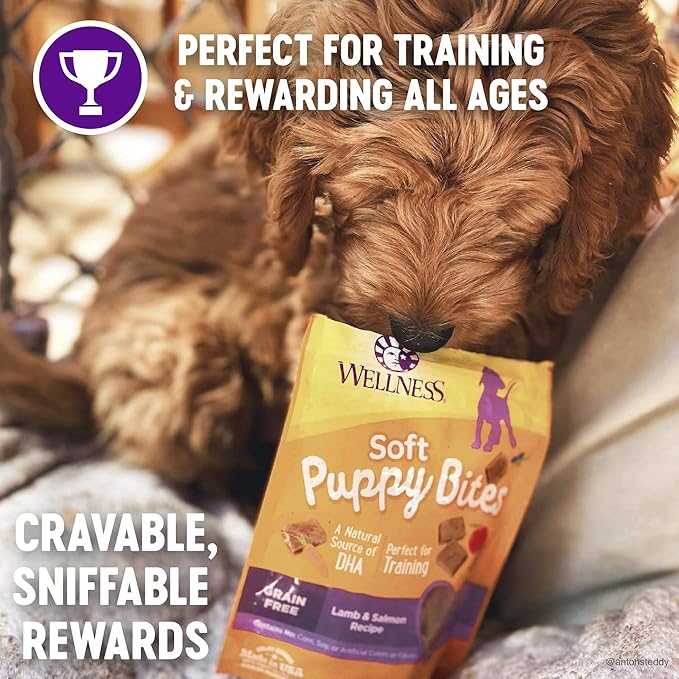 Wellness Soft Puppy Bites Healthy Grain-Free Treats for Training, Dog Treats with Real Meat and DHA, No Artificial Flavors (Lamb & Salmon, 8-Ounce Bag) - PAWPICO
