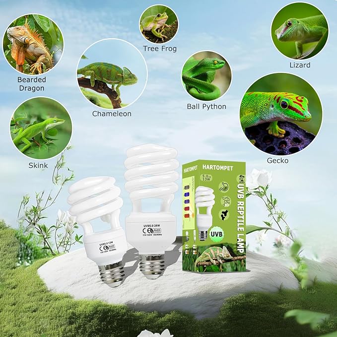 5.0 UVB Reptile Light 26W, Compact Tropical & Sub-Tropical Lamp，Coil UVB Bulbs, UVA Fluorescent Bulbs for Amphibians, Chameleons, Iguanas & Turtles, Small Pets, Reptile Tank Lighting HARTOMPET