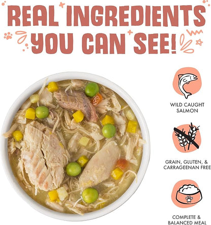 Weruva Classic Dog Food, Jammin' Salmon with Chicken & Salmon in Gravy, 14oz Can (Pack of 12), Red (Jammin’ Salmon) - PAWPICO