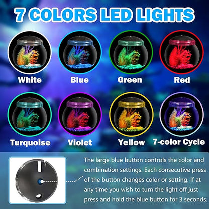 Koller Products 1-Gallon Globe Fish Bowl, Impact- Resistant Plastic Aquarium Starter Kits with LED Lighting, Buit-in Timer, Crystal-Clear Clarity, Desktop Fish Tank for Home Décor DISCOVERTHEEXCITINGWORLDOFKEEPINGTROPICALFISH