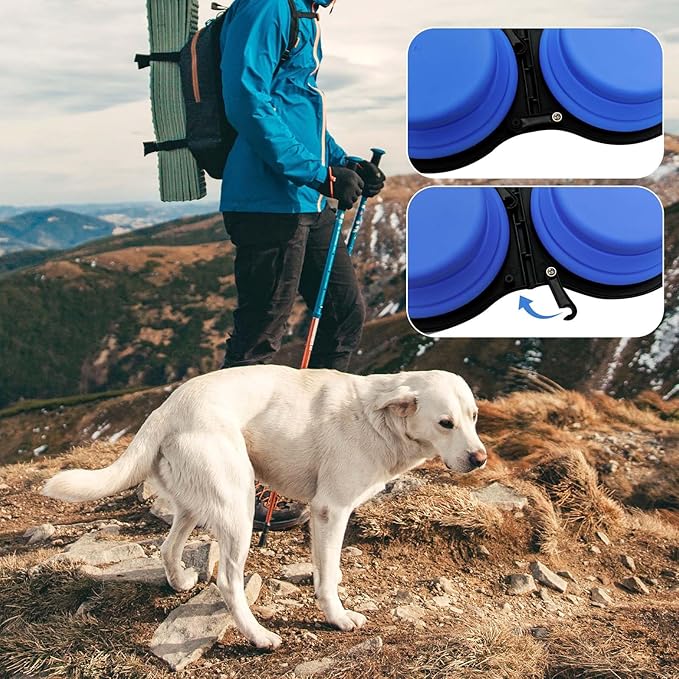 Collapsible Silicone Cat and Dog Travel Bowls,2 in 1 Foldable Pet Feeding and Watering Dish for Walking Camping Hiking with Carabiner (Blue) - PAWPICO