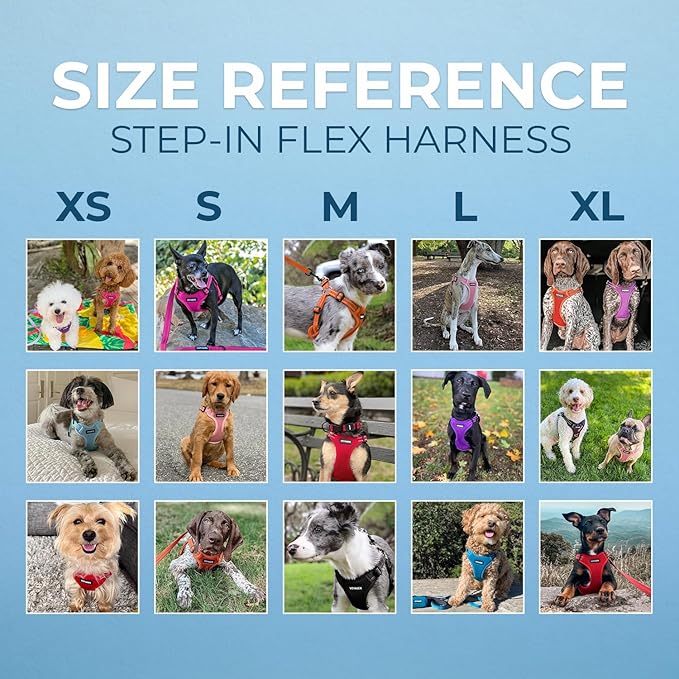 Best Pet Supplies Voyager Adjustable Dog Vest Harness Breathable No Pull Harness for Small, Medium, Large Dogs, Harness for Walking, Jogging, Easy Step-in, Reflective Stripes - (Army Base), S BestPetSuppliesLLC