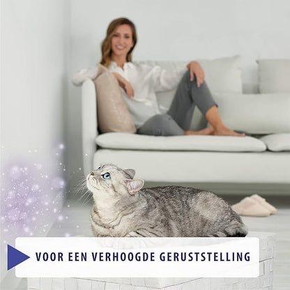 Feliway Optimum Refill, The Best Solution to Ease cat Anxiety, cat Conflict and Stress in The Home Feliway%C2%AE